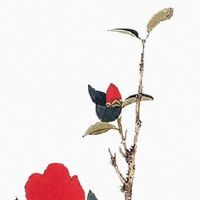 女方什么人千万不能送亲 姑嫂孕寡不宜相送