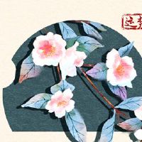 财富之神，2023年6月10日，问最好的方向