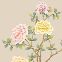 属虎36岁本命年很好 度过本命年生肖虎财运回转