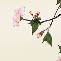 1987属兔的最旺数字 幸运颜色与吉祥号码