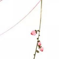 每日五行查询:2022年7月29日五行穿衣指南