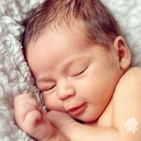 打分最高的朱姓名字