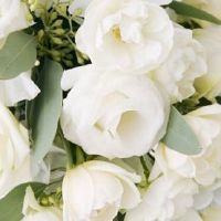 黄道吉日:生肖蛇2022年9月适合结婚的日子