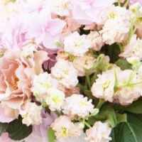 2022年9月属龙人结婚吉日 举办婚礼好日子