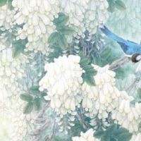 车牌号最后一位是1好吗 车牌尾数1的聚财效果