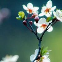 1976年属龙男人桃花运好不好 风趣幽默易得桃花