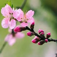 双方父母见面8样必备礼品 烟酒茶送礼少不了