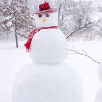 记住！不要犯这三个大星座，如果你是罪，80％不好