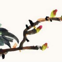 2022年属虎本命年佩戴什么好 三合六合物件化解犯太岁