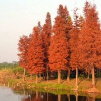 八个角色生活理解人格的特征