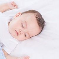 罗姓女孩漂亮有涵养的名字