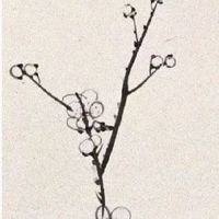 2022年五一高速免费几天 劳动节这天活动盘点