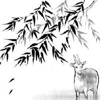 今年，绵羊的财富和如何增加2022财富的运气