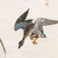 119做车牌号码好不好 车牌数字的五种元素