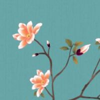 命中有几个孩子查询表 八字看子女胎数