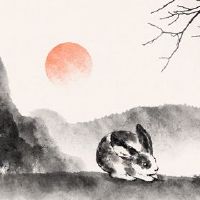 1987年，今年兔子的运气如何？