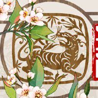 2022年属虎的运程 偏财方面不宜投资