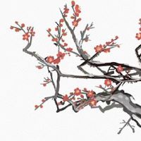 2022年4月10日出生属虎女孩命理好不好 富有文学 财运滚滚