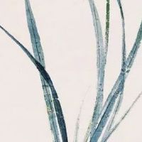 2022年4月7日出生属虎男孩命理查询 富有才气 晚年聚财