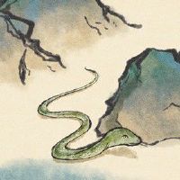 属蛇1977年2022年运势及运程 整体运势有待提升