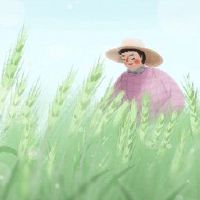 小麦的小充分能量？它是滴水还是喷射