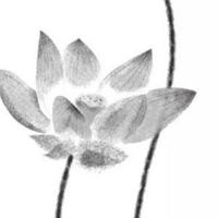 合八字合了六个字好不好 夫妻感情深且婚姻幸福