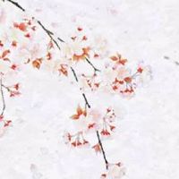 女孩子正面不见耳好吗 聪明伶俐内心强大