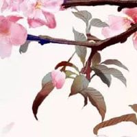 什么是真正额头七痣 天庭有痣壮年多贵人帮助