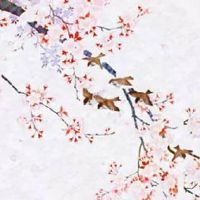 男人额头长痣面相图解 长有额头七痣天生贵人相