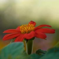 邑师姐12黄道带一周财富（3.28-4.3）