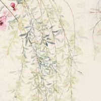 三个斗的女人是凤命 十斗有福可独立富贵