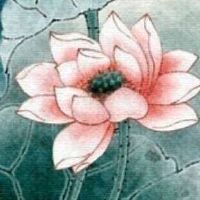 手机尾号5558的好不好 助事业顺口手机号