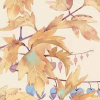 八字怎样才能看出自身带仙缘 有仙缘者垂珠硕大