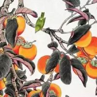 001车牌号值钱么 车牌组合001使车主日益进步