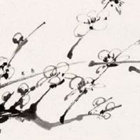 84年已婚属鼠桃花运 今年七月桃花巅峰时期