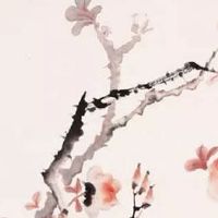 96女老鼠在2022婚姻与运势 相对坎坷多做沟通