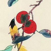 74年属虎女戴什么好 虎女佩戴琥珀宁心安神