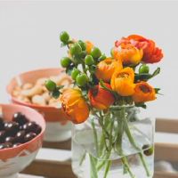 海百合一周星座运势（3.28-4.3）