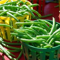 梦想挑选出四个赛季你的意思是什么？