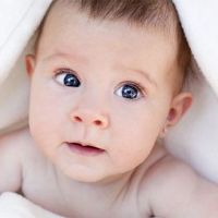 温文尔雅、气质出众的男孩名