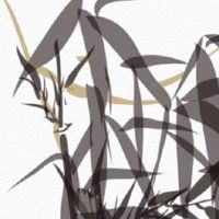 婚姻八字几个字合是最好婚姻 男女双方年柱不宜刑冲克