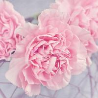 App Weekly Constellation Fortune（3.28-4.3）