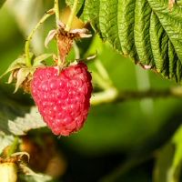 Ezoey Xu Ping Twelve Constellation One Week (3.28-4.3)