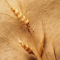 暗示星座的一周财富（3.28-4.3）