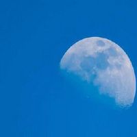 2022年，情人节情人节是几个月的，哪一天？