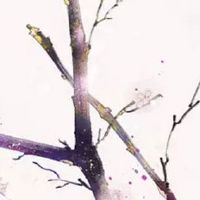 仙女被贬下凡特征 多灾多难特别容易得邪病