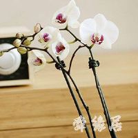 怎样给电器公司起好听大气的名字