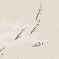 手机号码2222寓意 有能量助事业号码