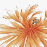 手机号码尾数44好吗 生肖选择最佳号码