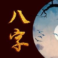 八个角色任务股息发职业发展